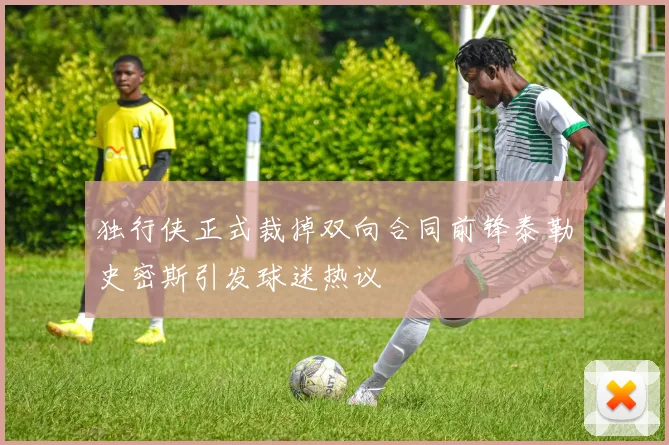 独行侠正式裁掉双向合同前锋泰勒史密斯引发球迷热议
