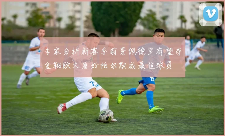 专家分析新赛季前景佩德罗有望夺金靴欧文看好帕尔默成最佳球员