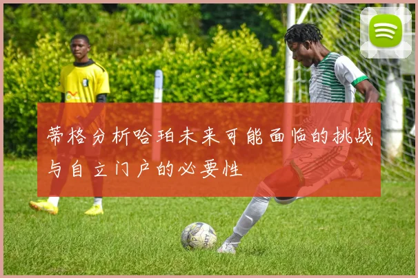 蒂格分析哈珀未来可能面临的挑战与自立门户的必要性